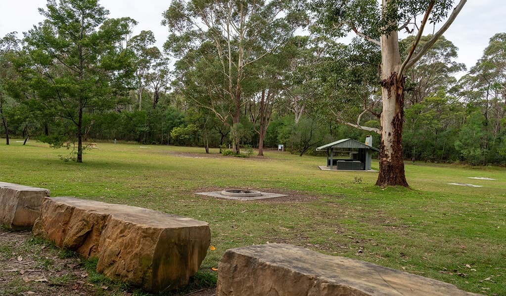 Sandstone logs that can be used as bench seats for resting. Photo: Allan Chawner © DCCEEW