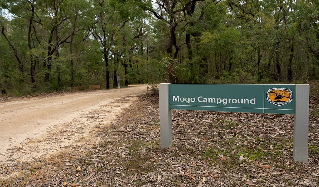Park sign at the entry to Mogo campground. Photo: Allan Chawner © DCCEEW