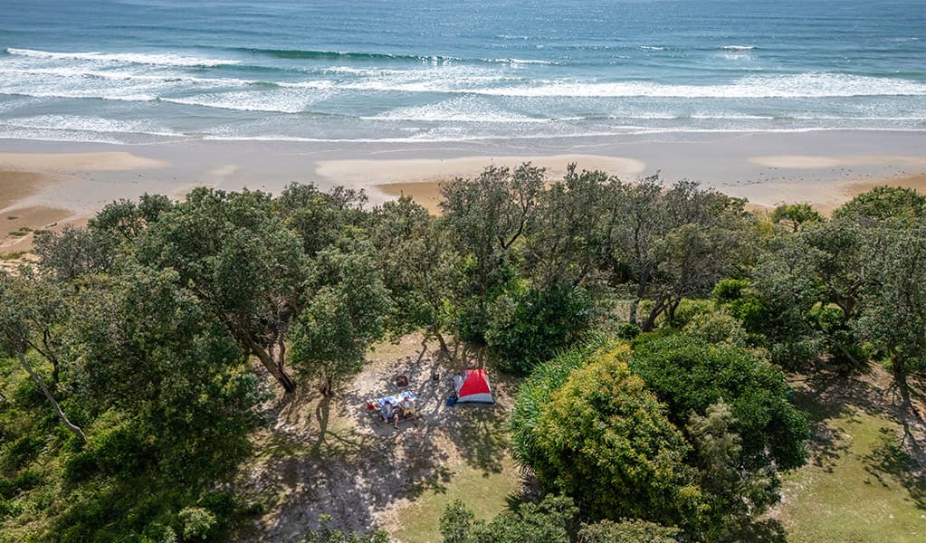 Aerial view of a tent campsite set back from the ocean at Illaroo campground. Credit: John Spencer © DCCEEW