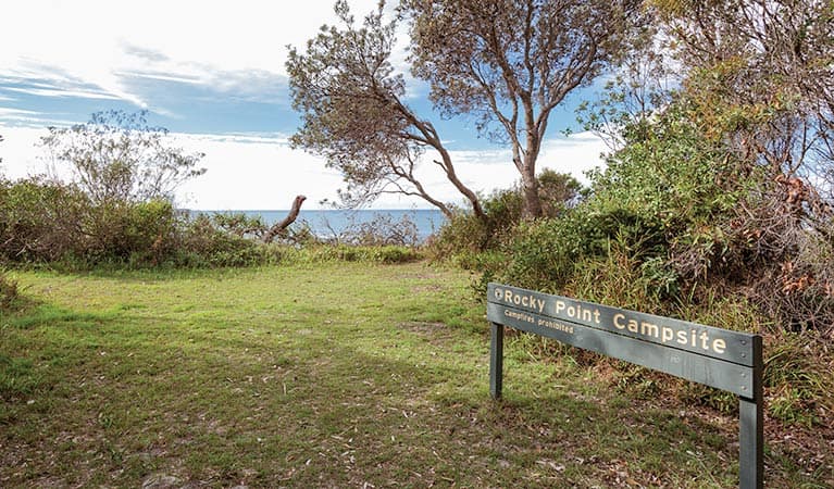 Rocky Point campground, Yuraygir National Park. Photo: Rob Cleary/DPIE