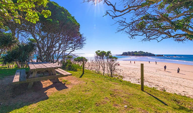 Picnic table at Sandon River campground, Yuraygir National Park. Photo credit: Jessica Robertson © DPIE