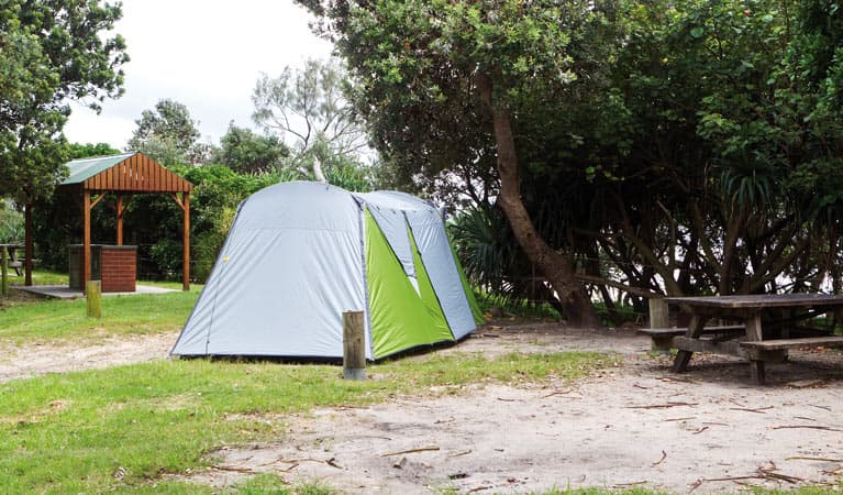 Tents at Sandon River campground, Yuraygir National Park. Photo credit: Rob Cleary © DPIE